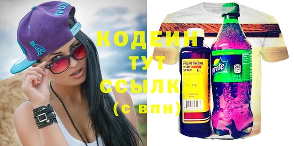 прущие грибы Козловка